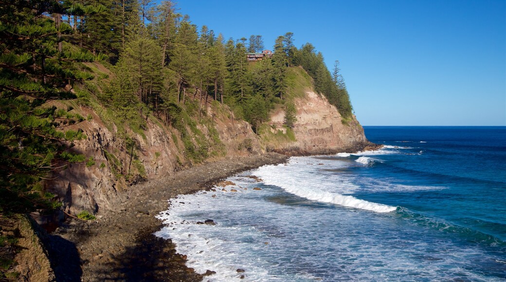 Norfolk Island showing rugged coastline and general coastal views
