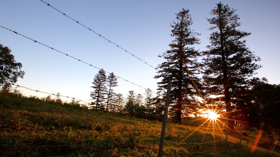 Norfolk Island showing a sunset and tranquil scenes