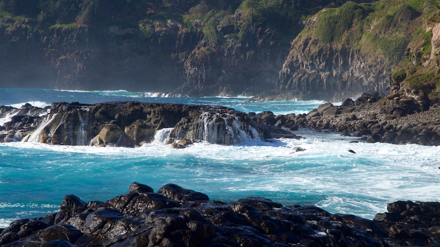 Point Ross Reserve