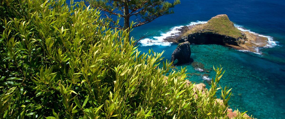 Norfolk Island National Park ofreciendo vistas generales de la costa y vistas de una isla