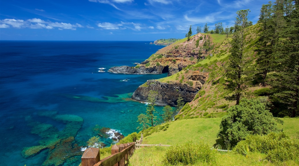 Norfolk Island nationalpark som visar kustutsikter och klippig kustlinje