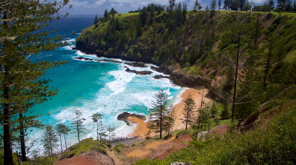 Anson Bay Beach showing rugged coastline, general coastal views and a beach