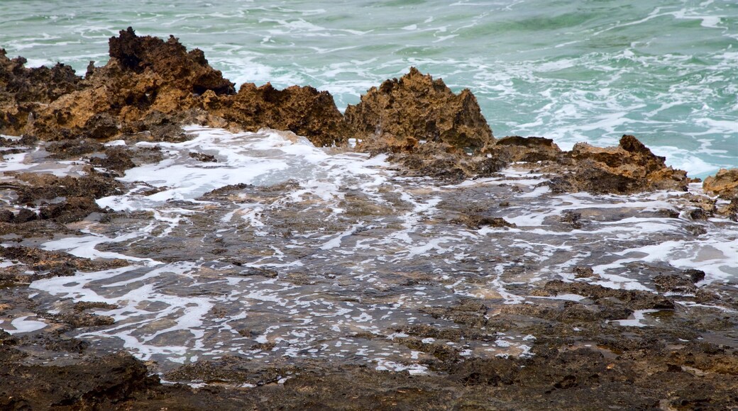 Emily Bay Beach showing rugged coastline and general coastal views