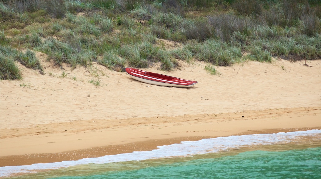 Emily Bay Beach which includes general coastal views and a beach