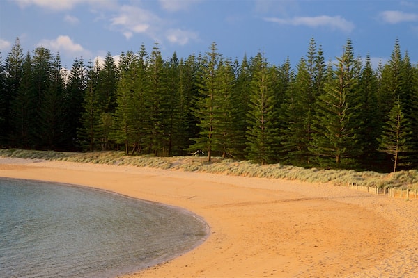 Emily Bay Beach featuring general coastal views, a beach and forest scenes