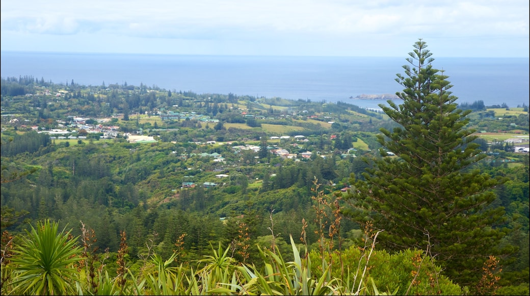 Mount Pitt showing landscape views, tranquil scenes and general coastal views