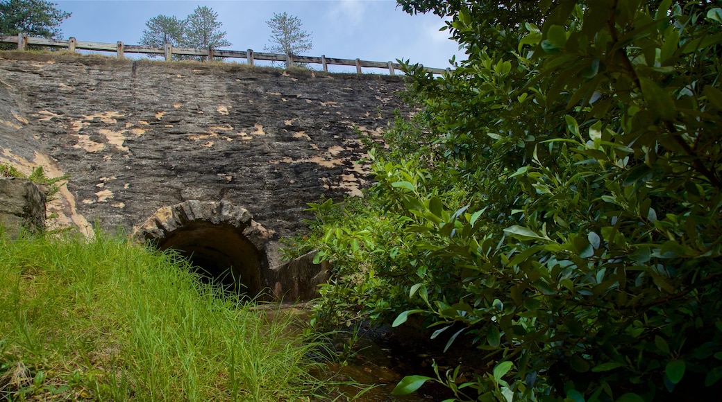 Bloody Bridge featuring heritage elements and tranquil scenes