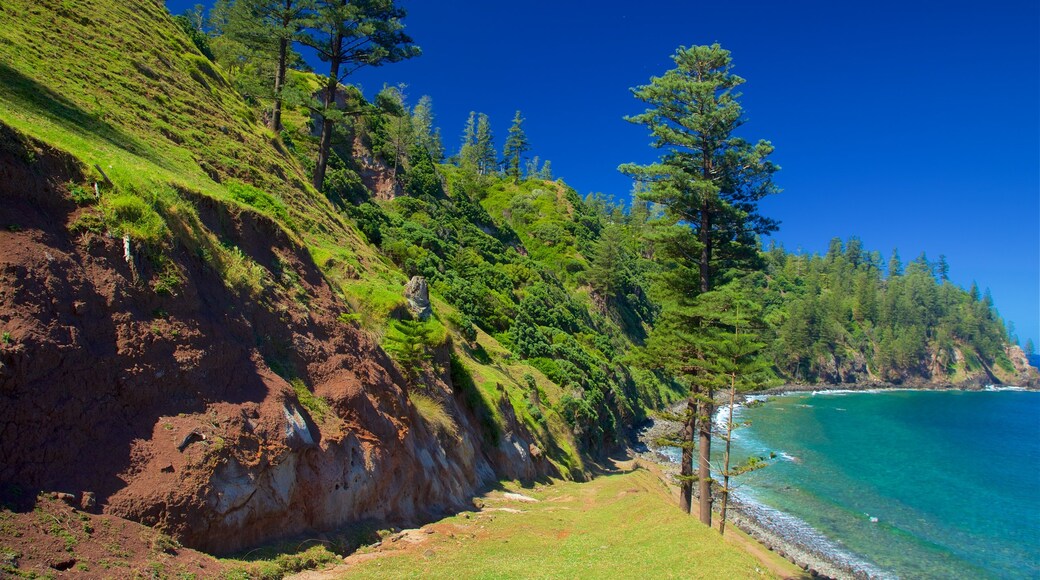 Norfolk Island showing general coastal views and rocky coastline