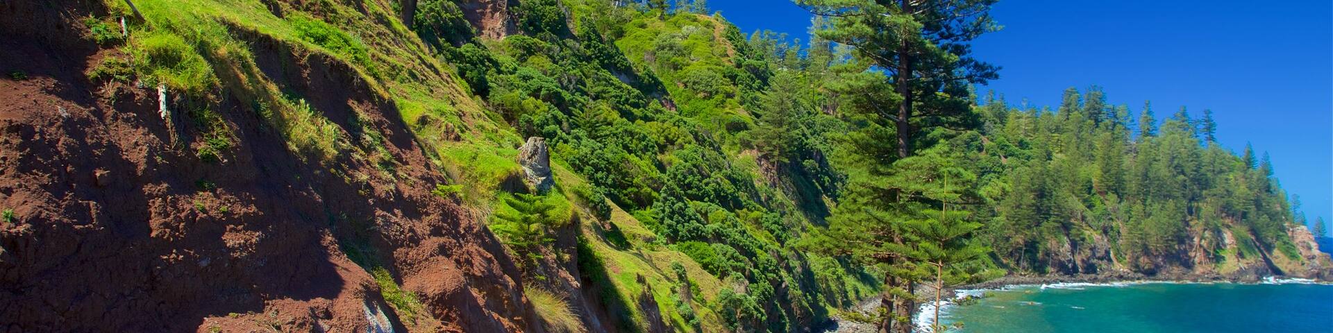 Norfolk Island showing general coastal views and rugged coastline