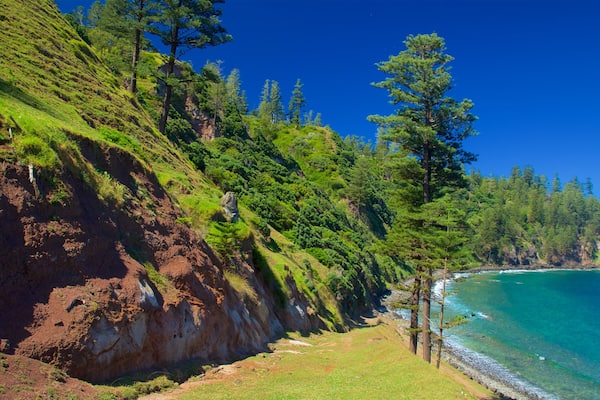 Norfolk Island showing general coastal views and rugged coastline