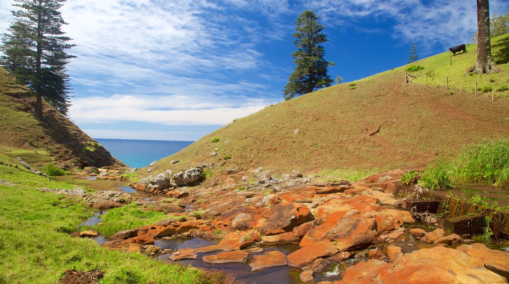 Norfolk Island showing tranquil scenes and a river or creek