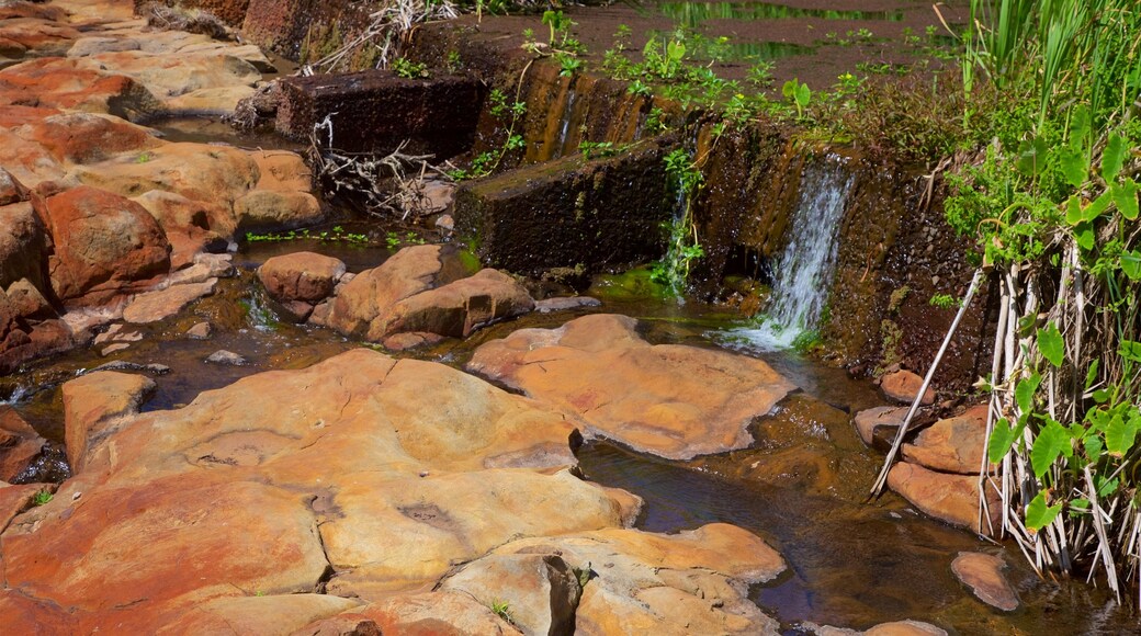 Norfolk Island featuring a river or creek