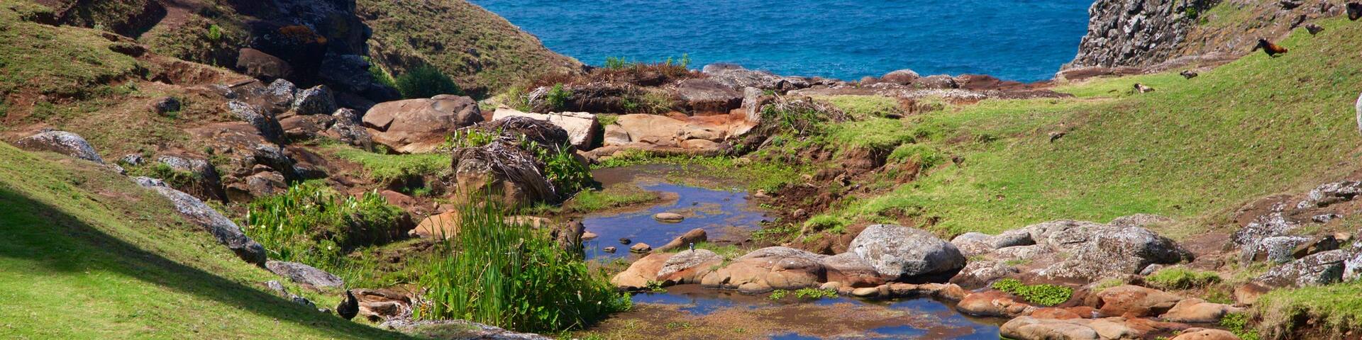 Norfolk-Insel welches beinhaltet allgemeine Küstenansicht, Fluss oder Bach und ruhige Szenerie