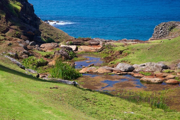 Norfolk-Insel welches beinhaltet allgemeine Küstenansicht, Fluss oder Bach und ruhige Szenerie