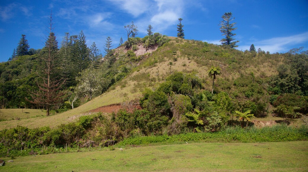 Norfolk Island showing tranquil scenes