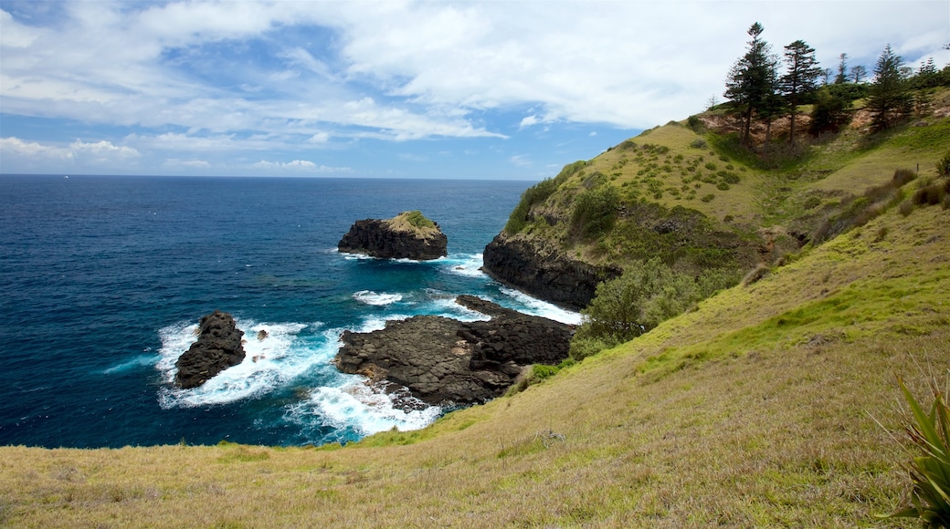 Norfolk Island som omfatter udsigt over kystområde og klippekystlinje