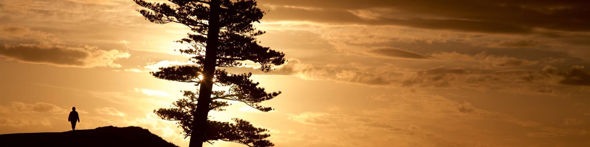 Norfolk Island which includes a sunset and general coastal views