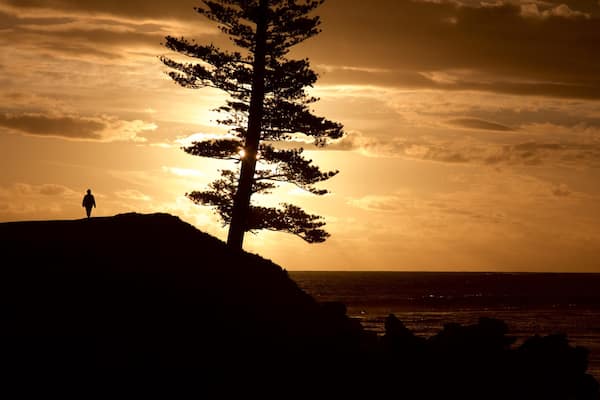 Ăle Norfolk mettant en vedette vues littorales et coucher de soleil