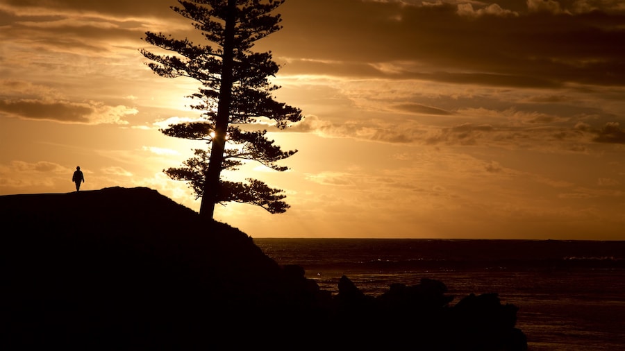 Norfolk caratteristiche di vista della costa e tramonto