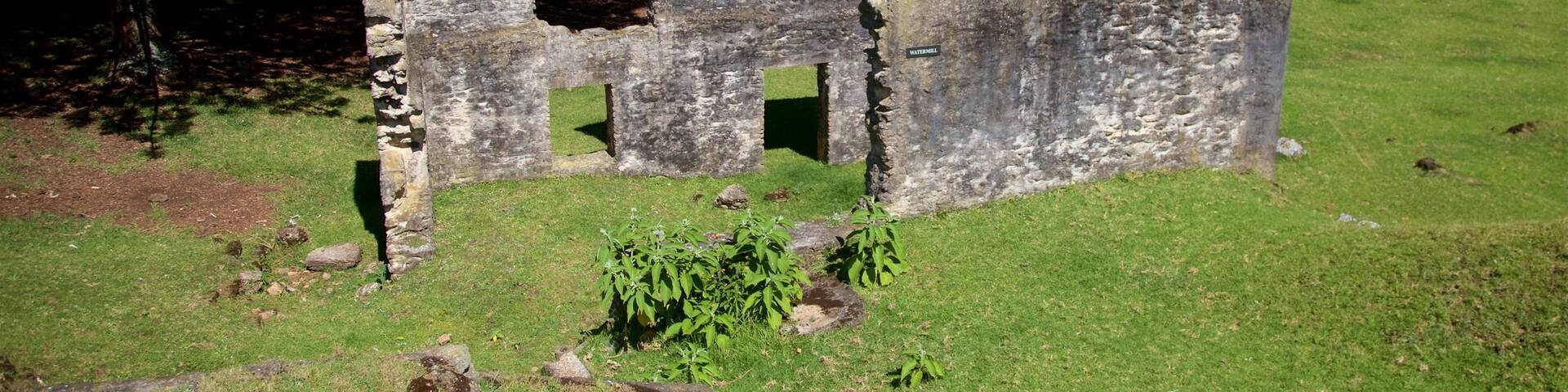 Norfolk Island showing a ruin and heritage elements
