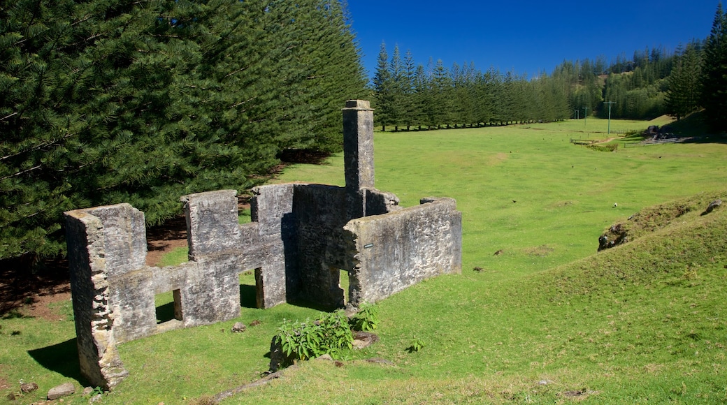 Isla Norfolk mostrando ruinas de un edificio, escenas tranquilas y elementos patrimoniales