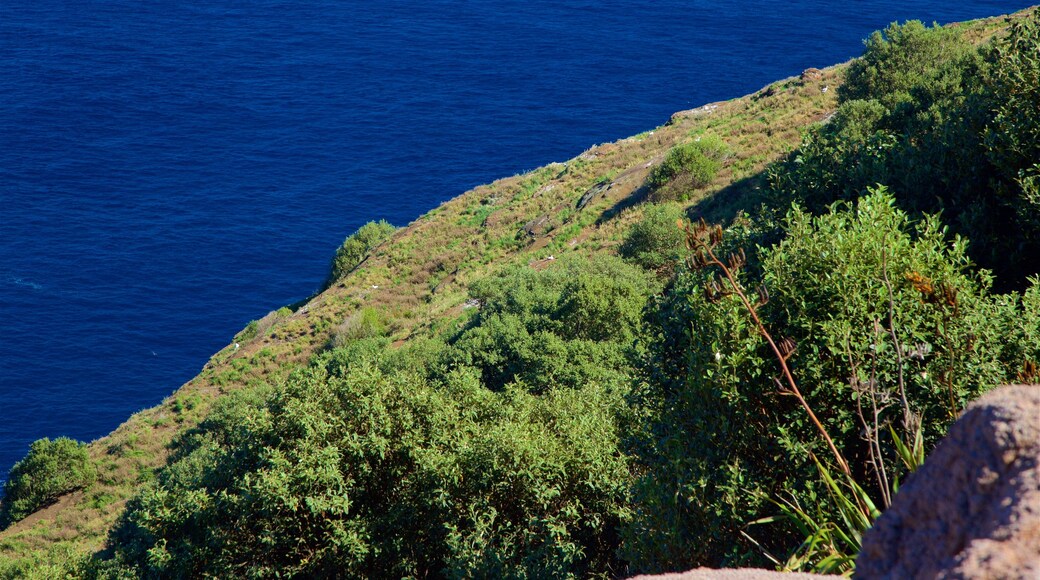 Isla Norfolk mostrando vistas generales de la costa