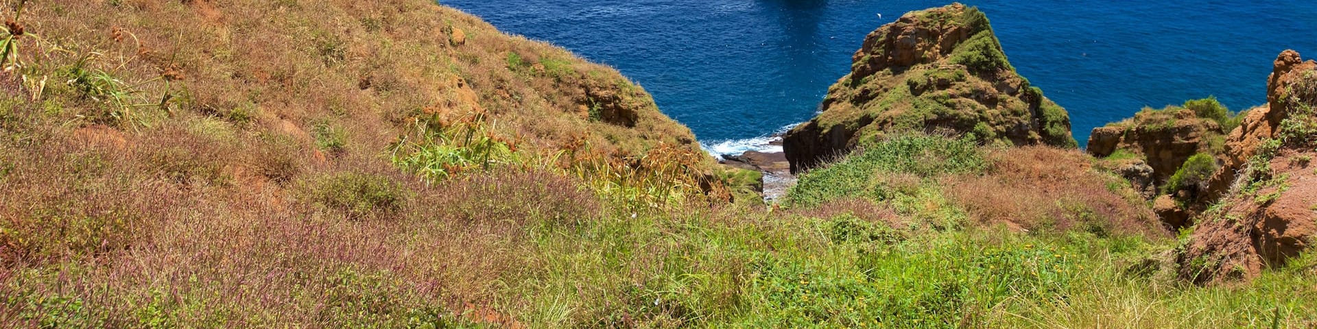 Norfolk Island which includes general coastal views