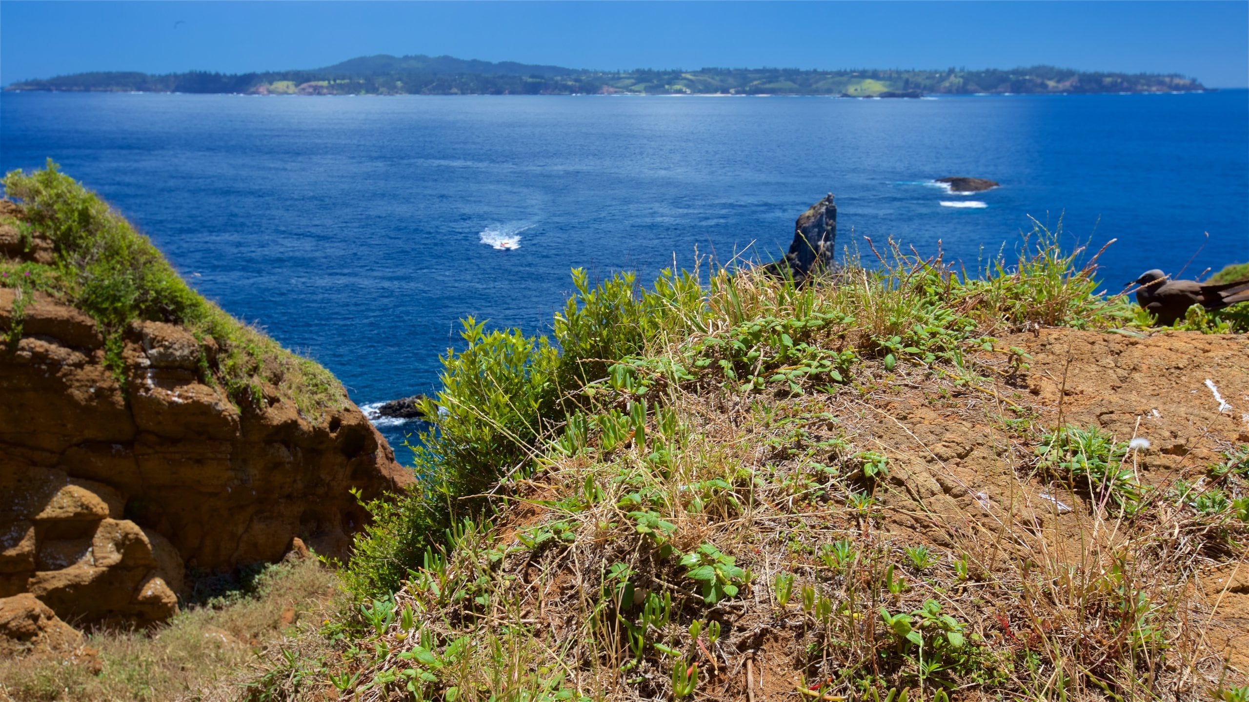 Phillip Island, NF holiday holiday houses & more Stayz