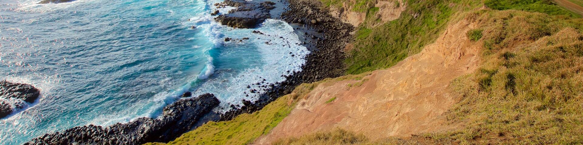 Norfolk Island showing rocky coastline and general coastal views