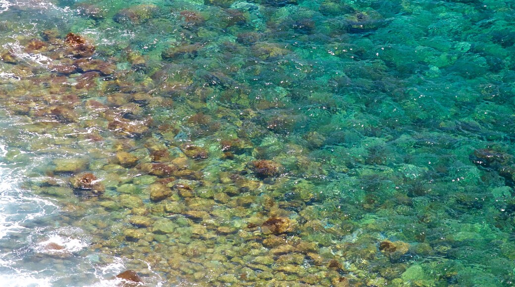 Norfolk Island showing general coastal views and a pebble beach