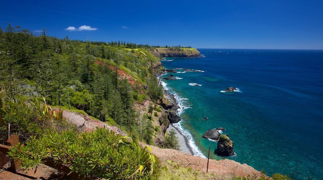 Norfolk Island showing rocky coastline and general coastal views
