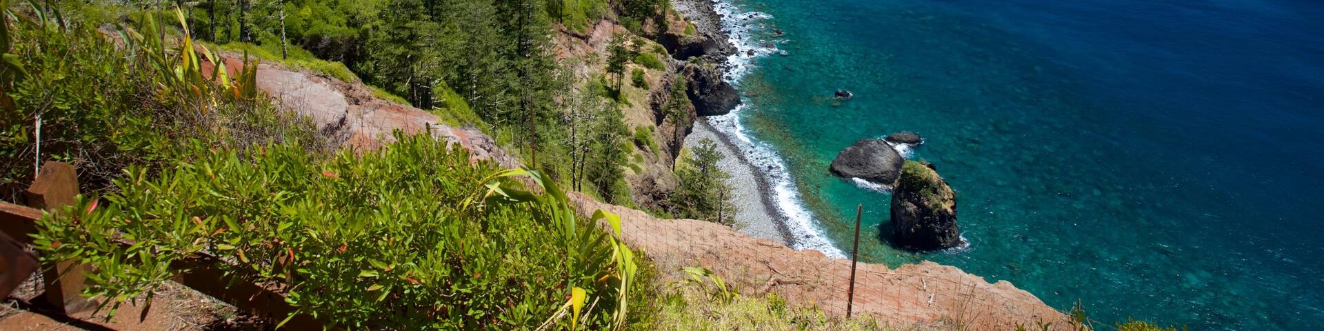 Norfolk Island showing rocky coastline and general coastal views