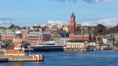 Helsingborg qui includes ville, croisière et baie ou port