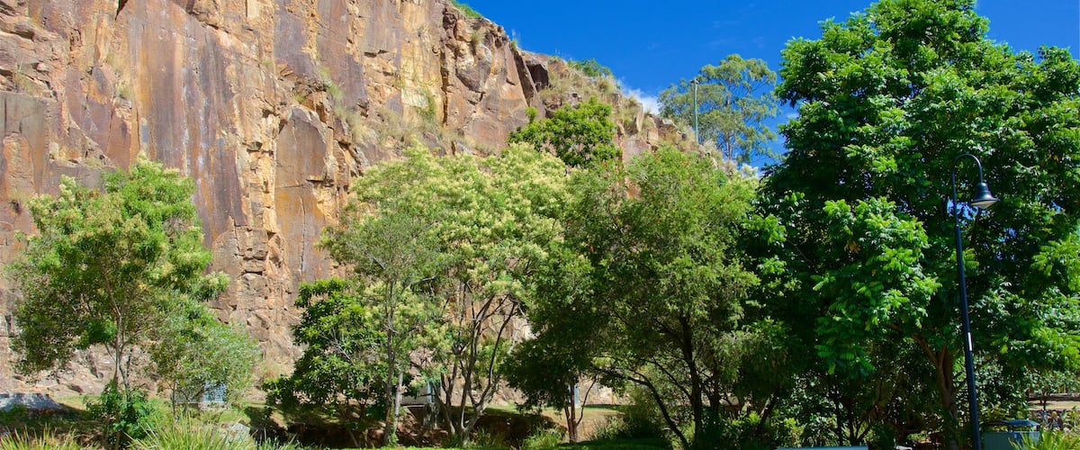Kangaroo Point Cliffs featuring a garden
