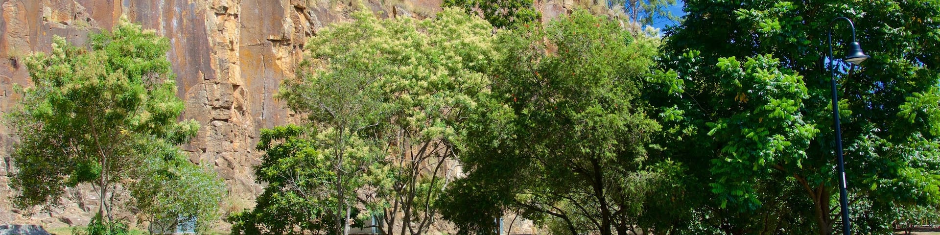 Kangaroo Point Cliffs showing a garden