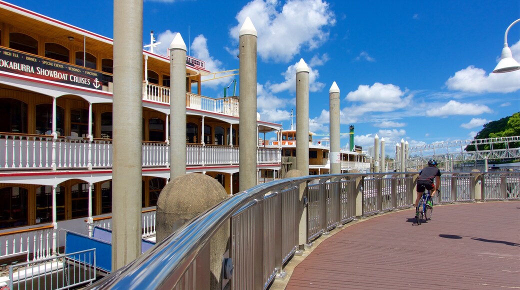 Eagle Street Pier showing cycling as well as an individual male