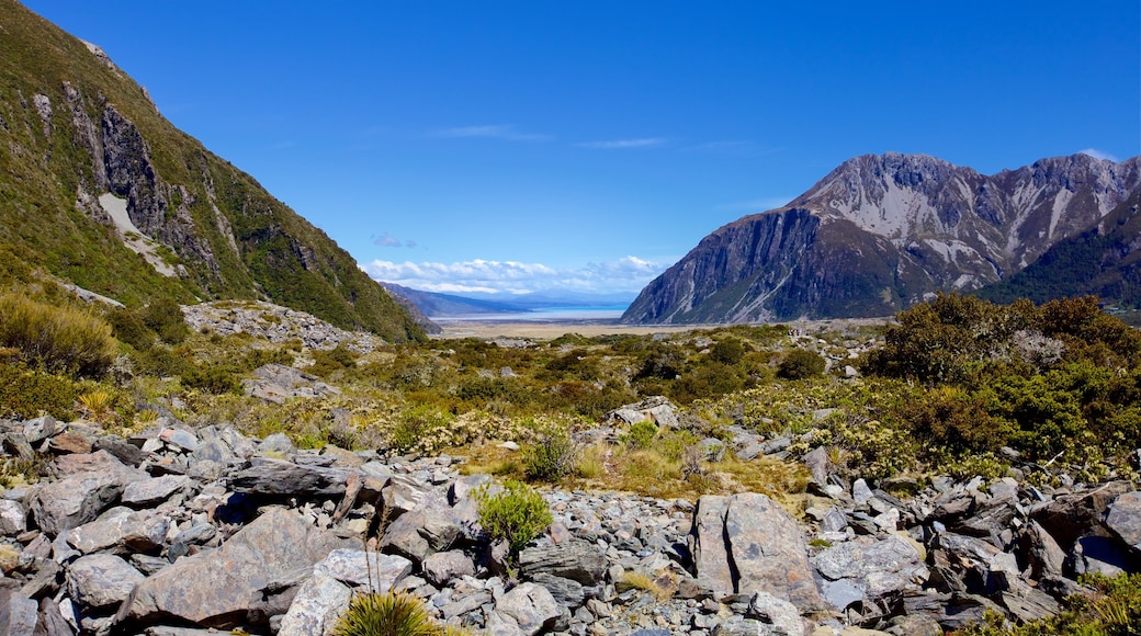 Mount Cook National Park featuring tranquil scenes