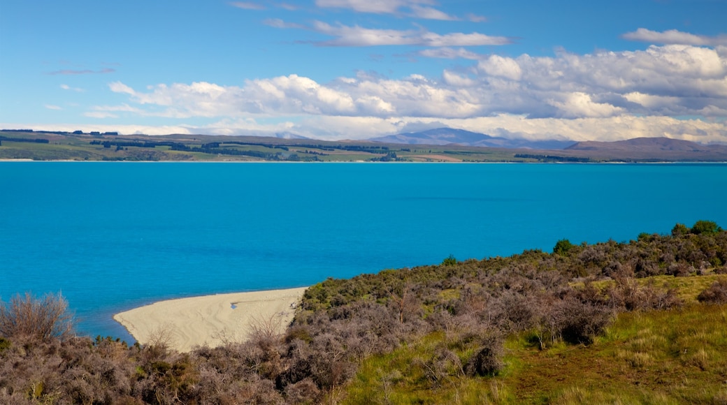 Mount Cook National Park which includes tranquil scenes, a lake or waterhole and landscape views