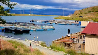 Twizel showing a bay or harbour and a lake or waterhole