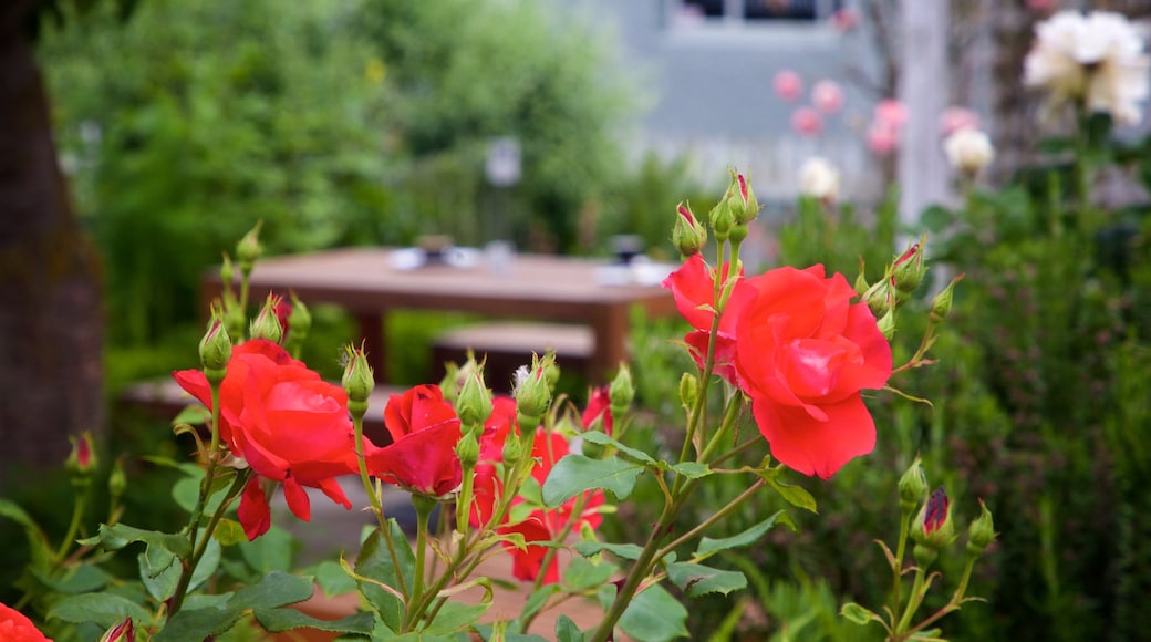 Geraldine som visar blommor