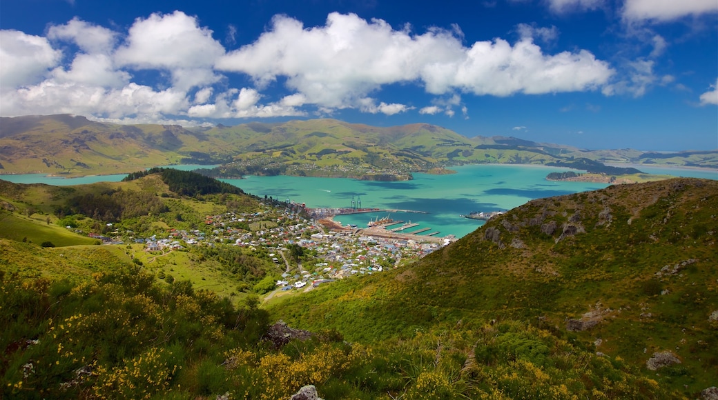 Mount Cavendish ofreciendo una pequeña ciudad o aldea, un lago o espejo de agua y una bahía o un puerto