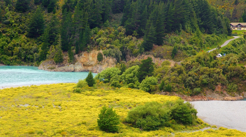 Rakaia Gorge which includes tranquil scenes and a lake or waterhole