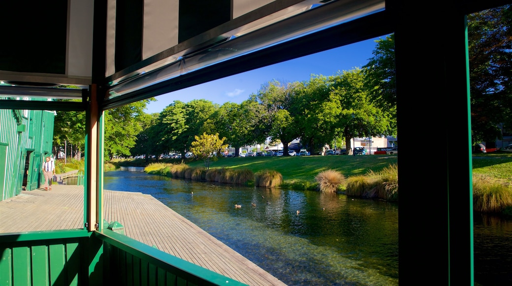 Punting on the Avon showing interior views, a river or creek and a park