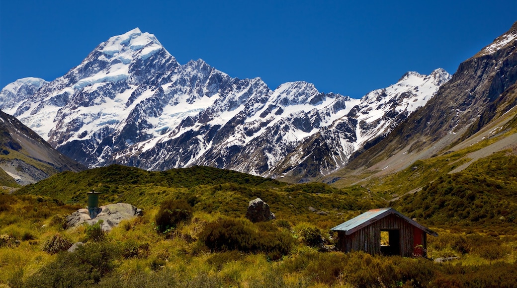 Parco Nazionale di Mount Cook che include paesaggi rilassanti, montagna e neve