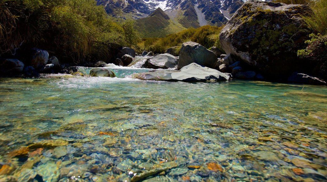 Parco Nazionale di Mount Cook mostrando fiume o ruscello