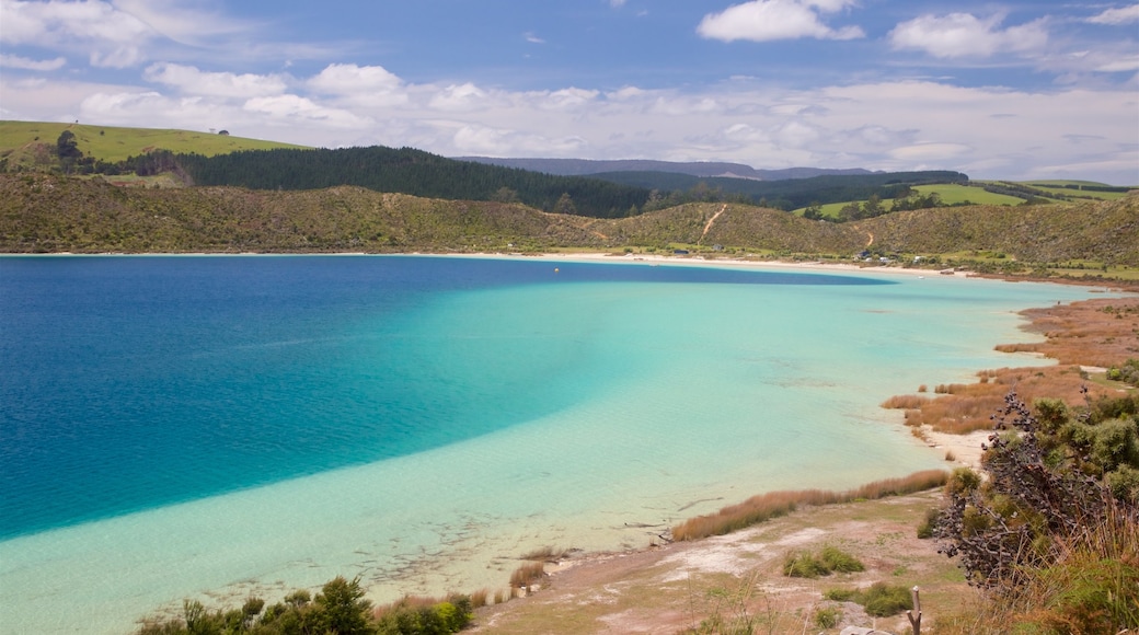 Kai Iwi Lakes featuring a lake or waterhole and tranquil scenes