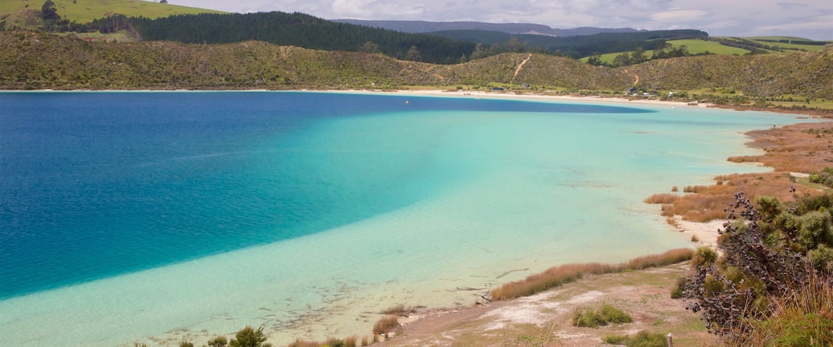 Kai Iwi Lakes featuring a lake or waterhole and tranquil scenes