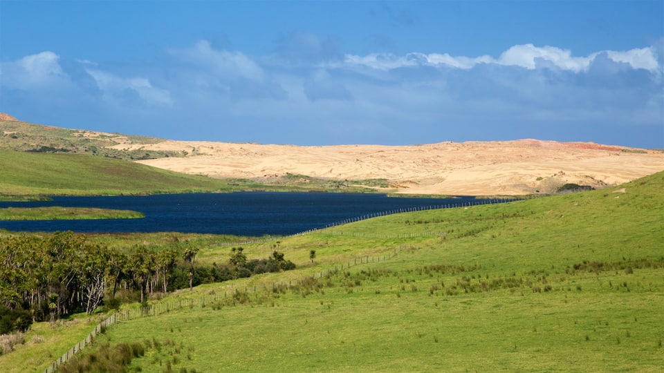Northland welches beinhaltet ruhige Szenerie und See oder Wasserstelle