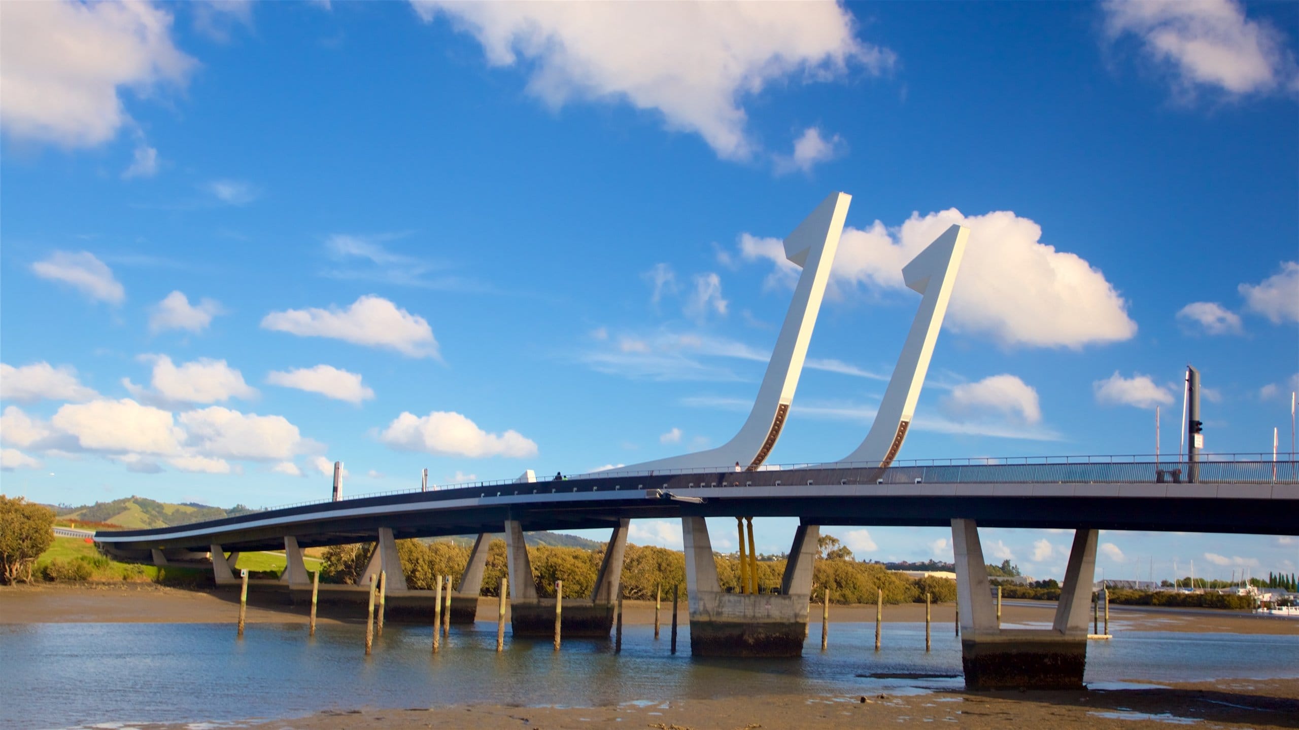 Whangarei featuring a bridge and a river or creek