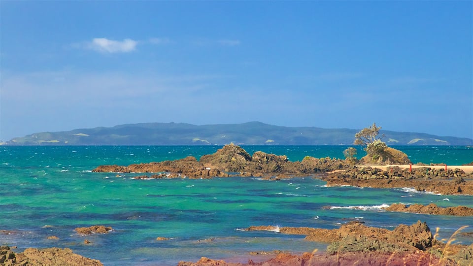 Waikato which includes general coastal views and rocky coastline